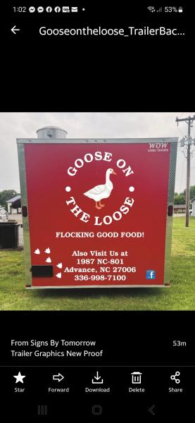 Goose on the loose
