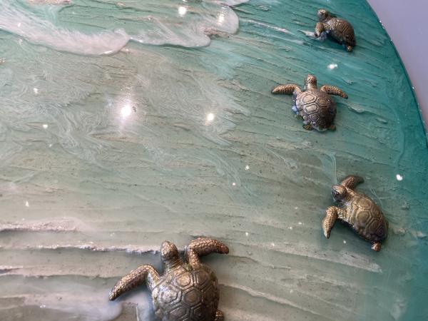 Lido turtle beach picture