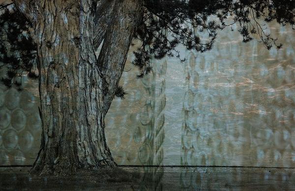 Tree Conversations:  Tree in Space