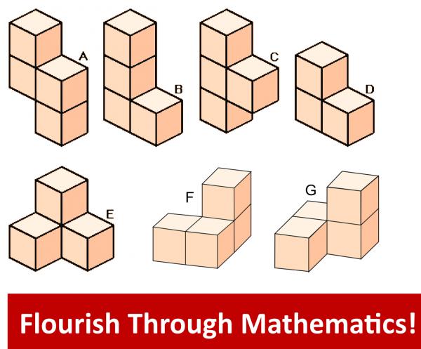 Soma Cube - Make 7 Soma  figures out of individual wooden cubes and then put together different structures starting with a cube. picture