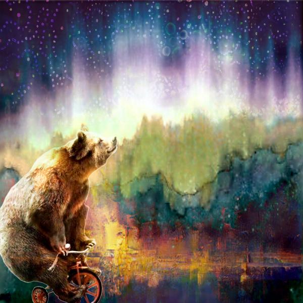 Bear Wonder