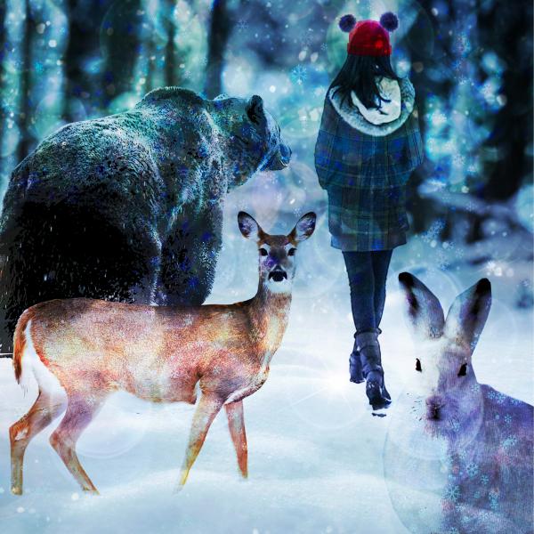 Snow Globe