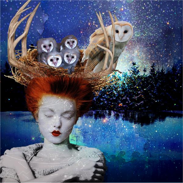 Nature Dreams