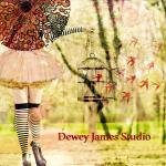 Dewey James Studio
