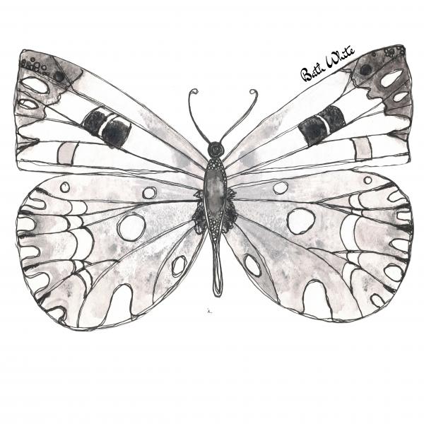 Butterfly Giclee Print (11"x14"): Bath White