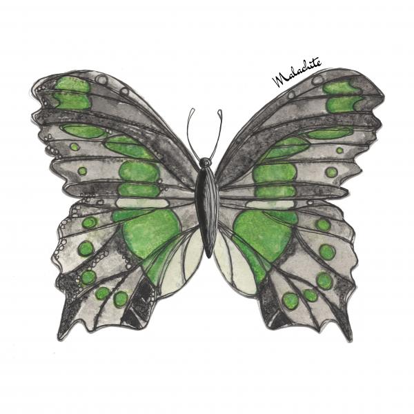 Butterfly Giclee Print (11"x14"): Malachite