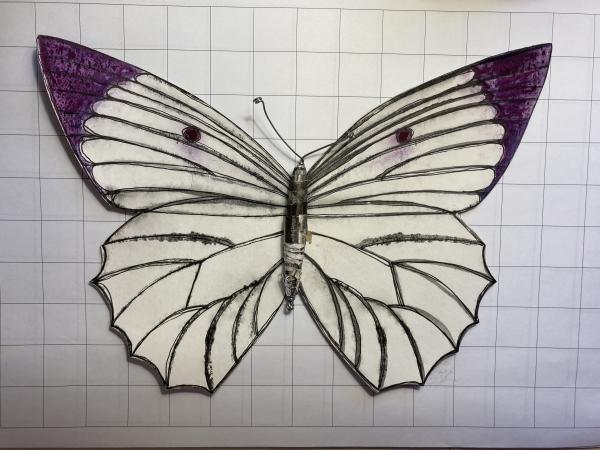 Butterfly/Moth: Purple Tip