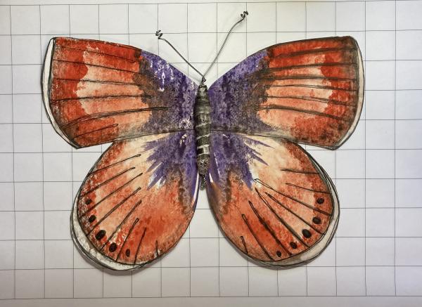 Butterfly/Moth: Pigmy Blue
