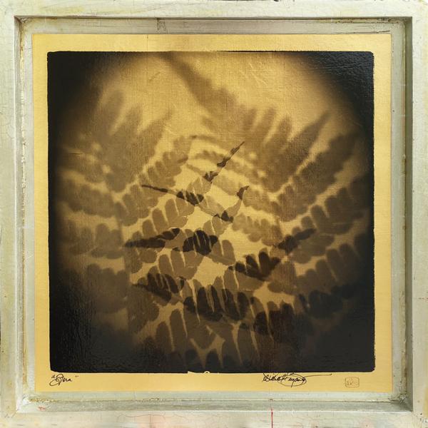 Fern Study (Double Exposure) (17"x17")