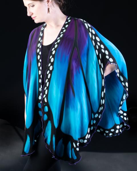 Blue Butterfly Silk Cape picture