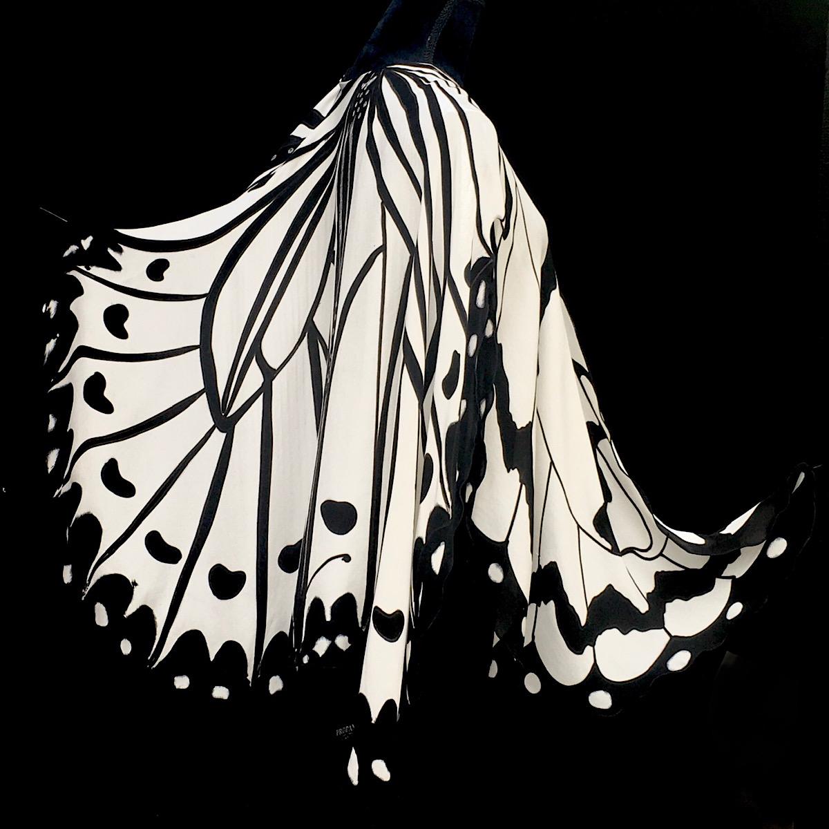 Black and White Butterfly picture