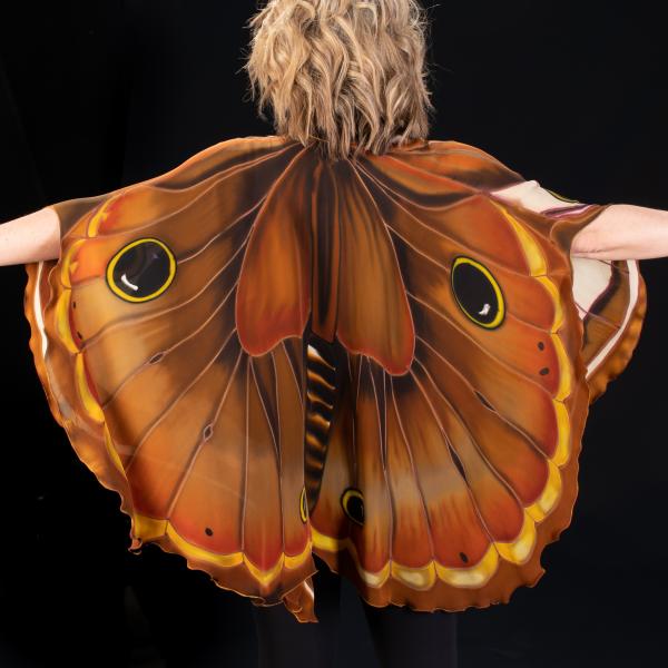 Brown Butterfly/Moth Silk cape picture