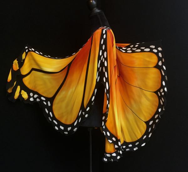 Monarch Butterfly Cape picture