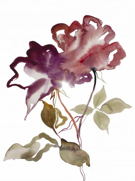 Rose Study No. 52 picture