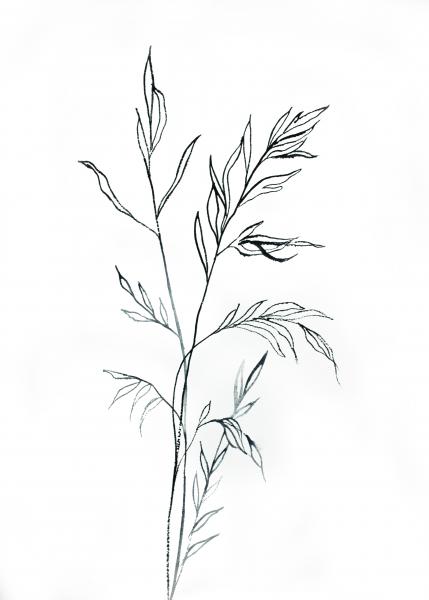 Grass Study No. 5 picture