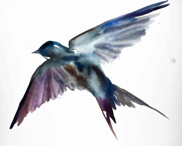 Swallow No. 17 picture