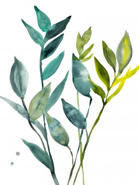 Plant Study No. 99