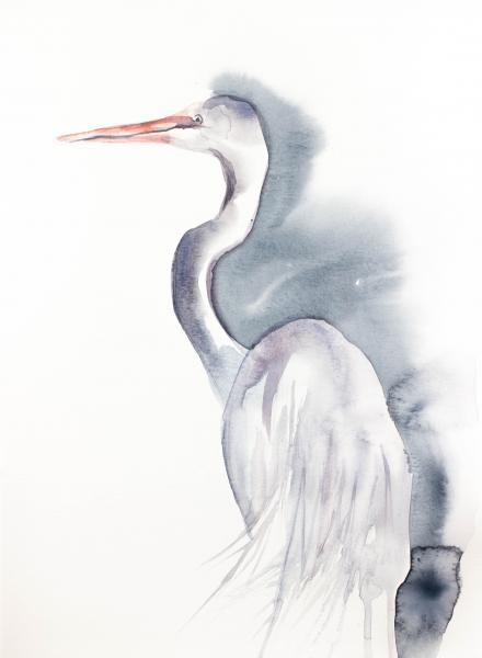 Heron No. 9 picture