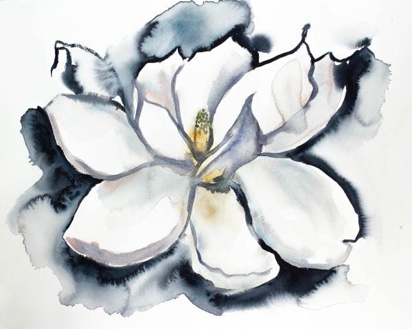 Magnolia No. 29