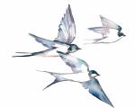 Swallows in Flight No. 24