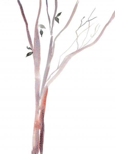 Tree Study No. 34