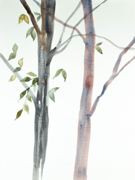 Tree Study No. 33