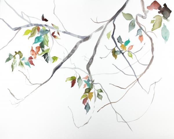 Branch Study No. 18