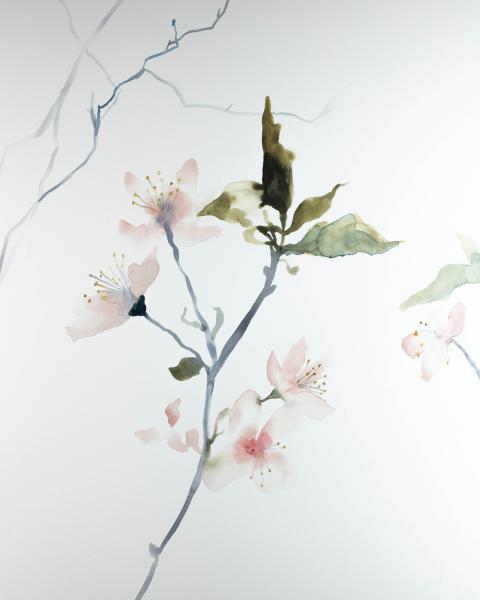 Cherry Blossom No. 2