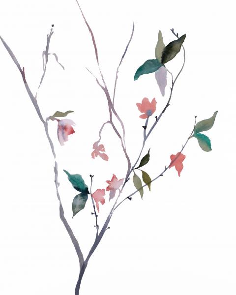 Cherry Blossom No. 25