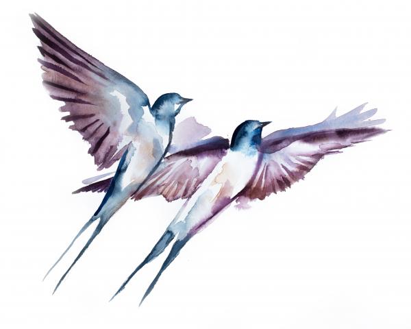 Swallows in Flight No. 38