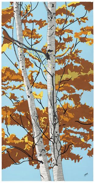 Fall Birches