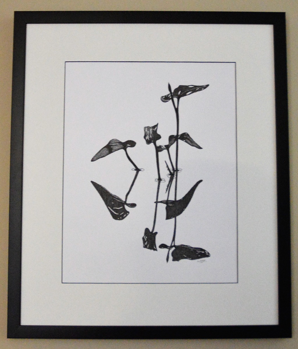 Silhouette Reflections picture