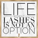 Lash savvy