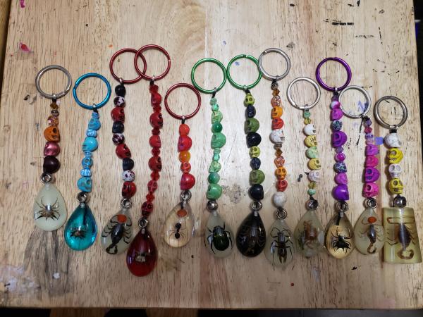 Skull & Bugs Keychains picture