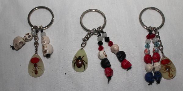 Skull & Bugs Keychains picture