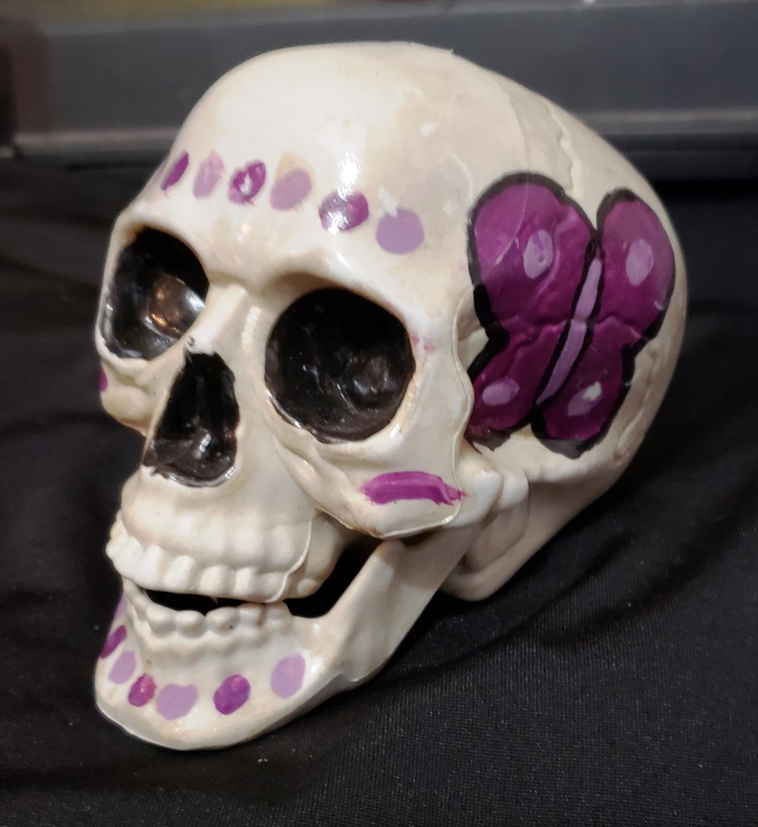 Painted Plastic Skulls picture