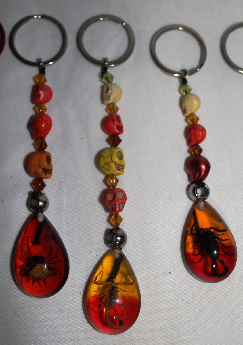 Skull & Bugs Keychains picture