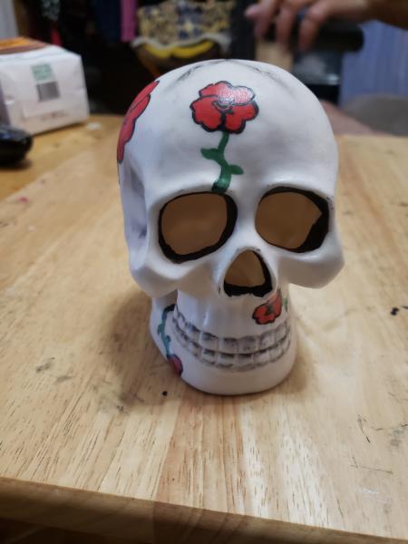 Painted Plaster Skulls