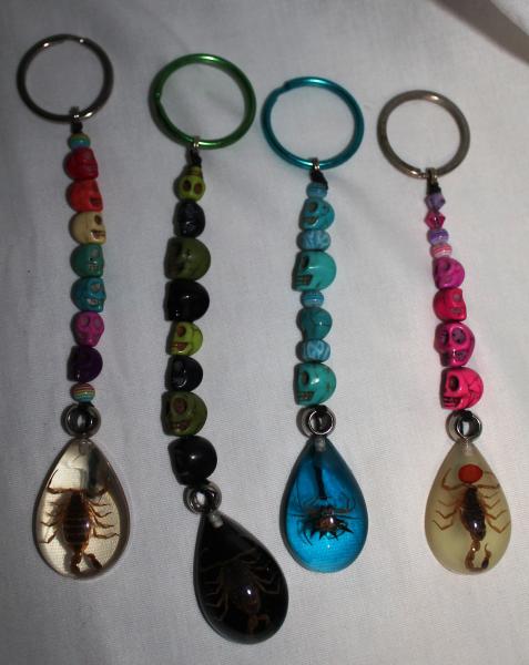 Skull & Bugs Keychains picture