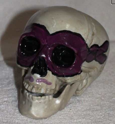 Painted Plastic Skulls picture