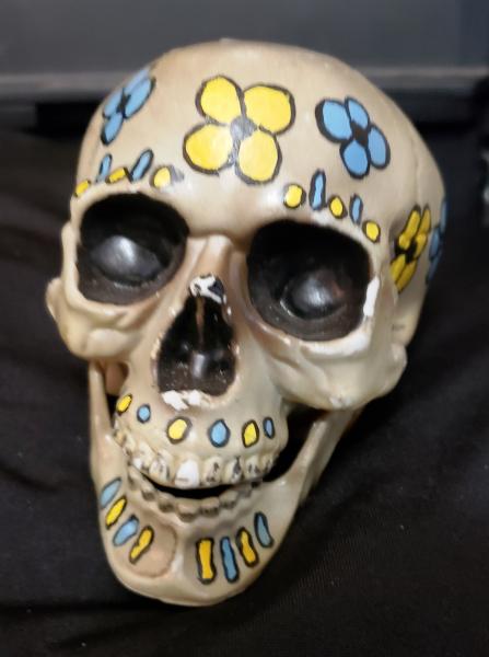 Painted Plastic Skulls picture