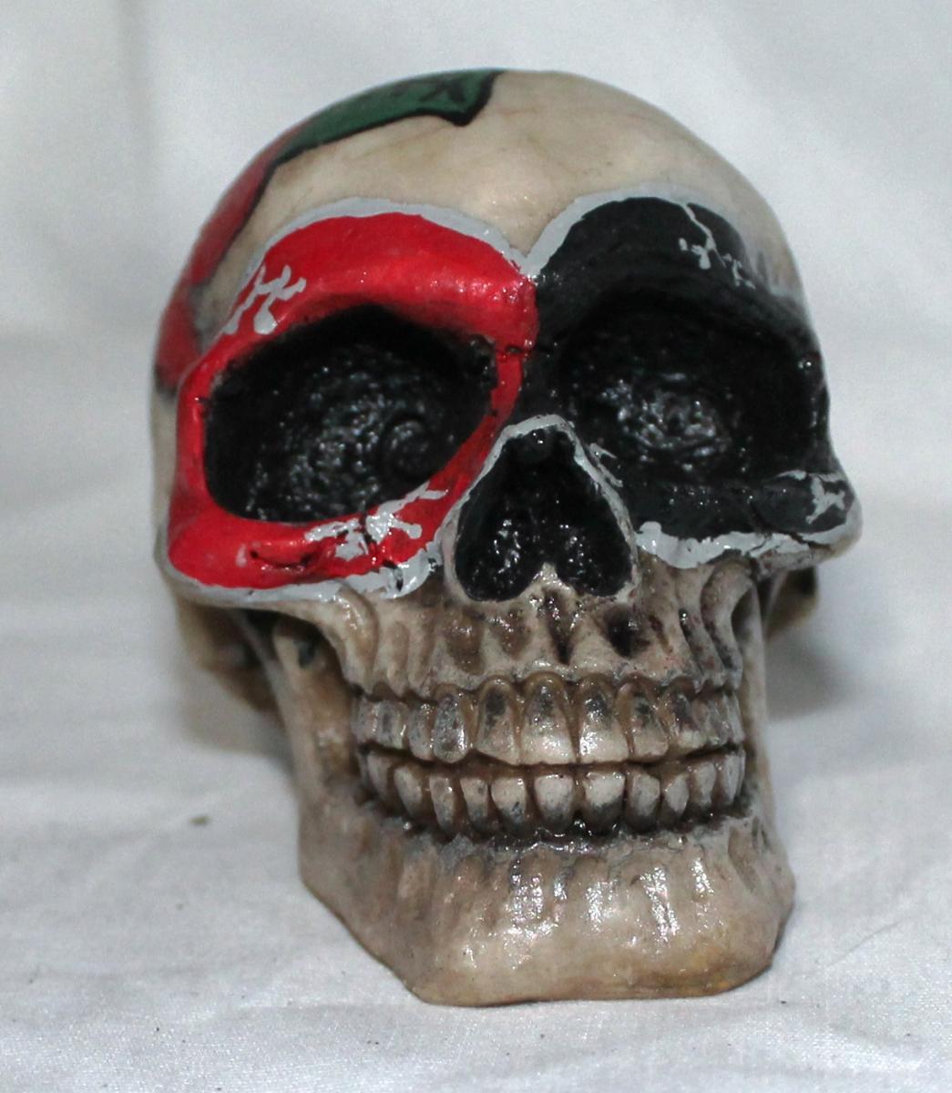 Painted Resin Skulls picture