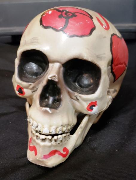 Painted Plastic Skulls picture