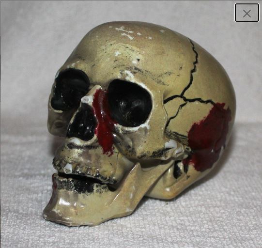 Painted Plastic Skulls