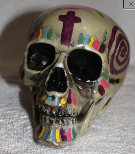 Painted Plastic Skulls picture