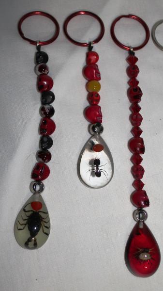 Skull & Bugs Keychains picture