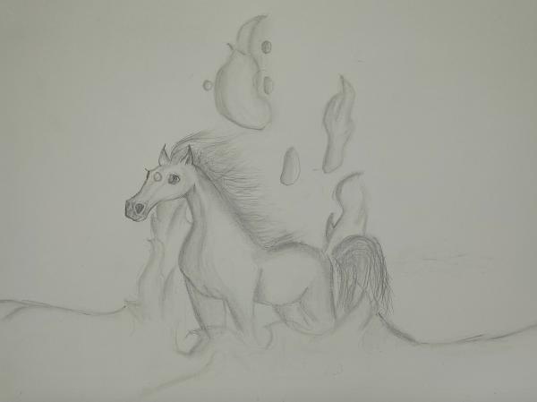 Aqua Horse picture