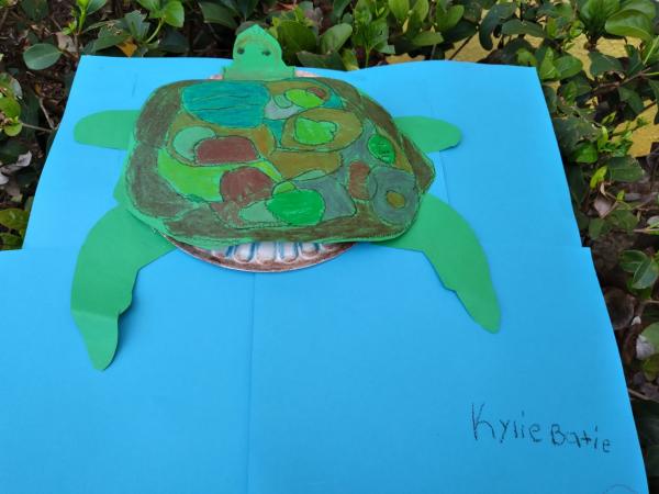 Rainbow Sea Turtle