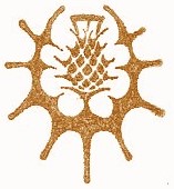 The Golden Thistle