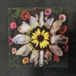 Sacred Earth Gifts